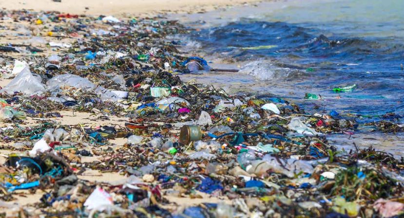 Plastic, glass waste: Tonga's ongoing environmental problem ...